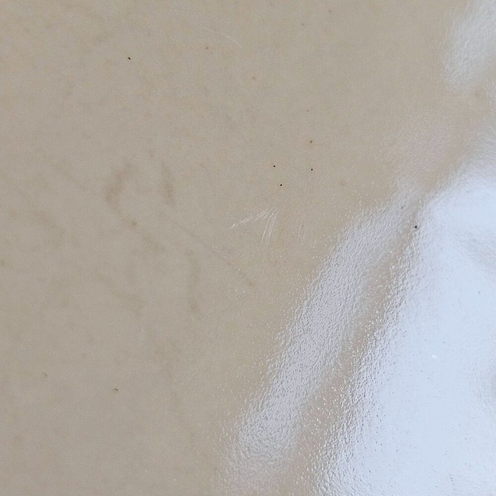 2 Mikasa French Countryside Square Dinner Plates 10" cream stoneware dishwasher